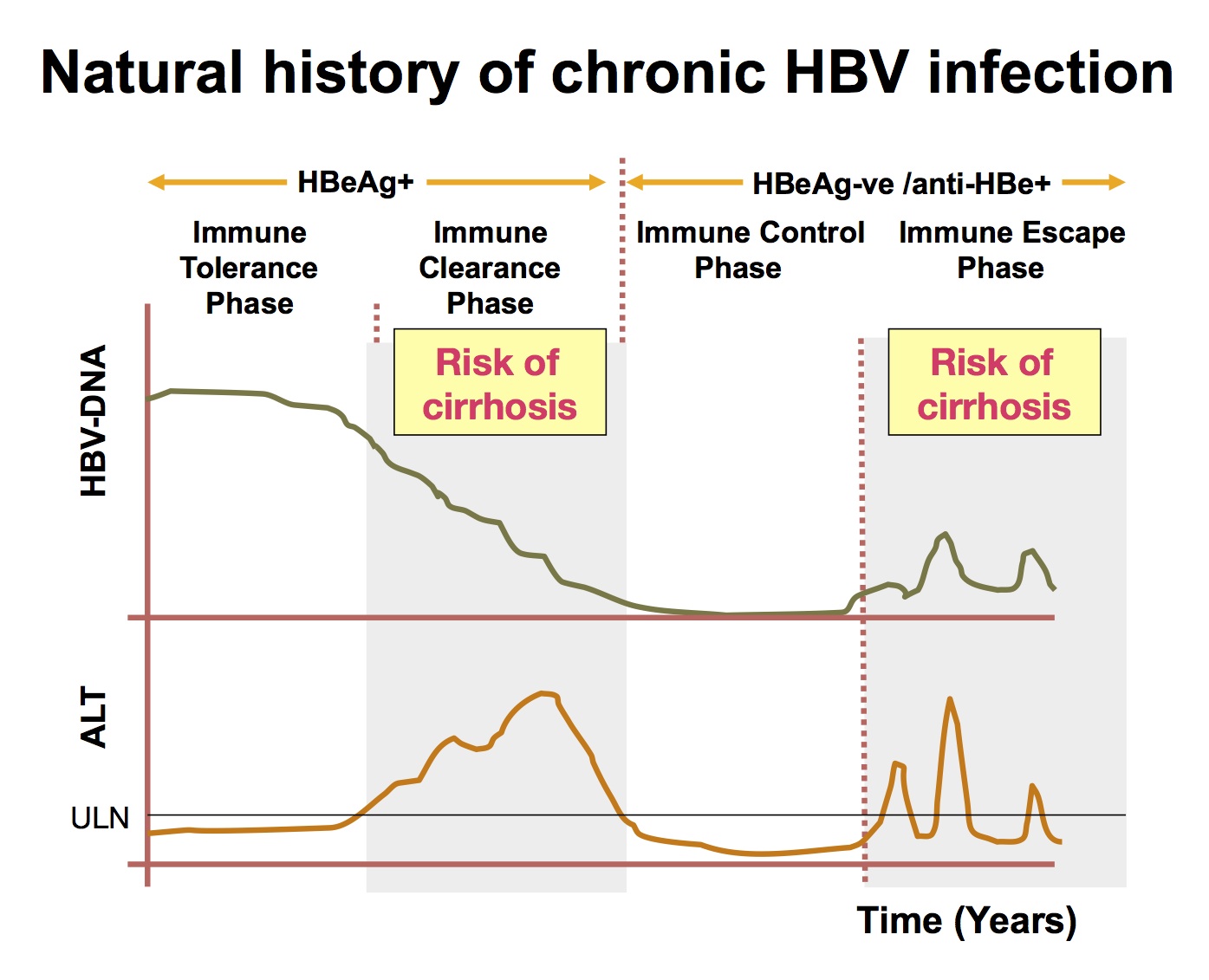 https://drmarius.com/images/hepb_serology.png