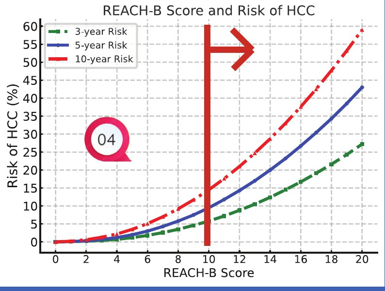 REACH-B score and HCC risk graph