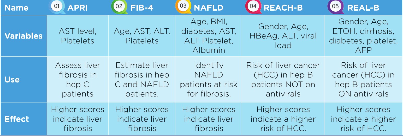 Clinical risk calculators table: APRI, FIB-4, NAFLD, REACH-B and REAL-B